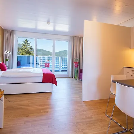 Hotel Restaurant Rhy 3*
