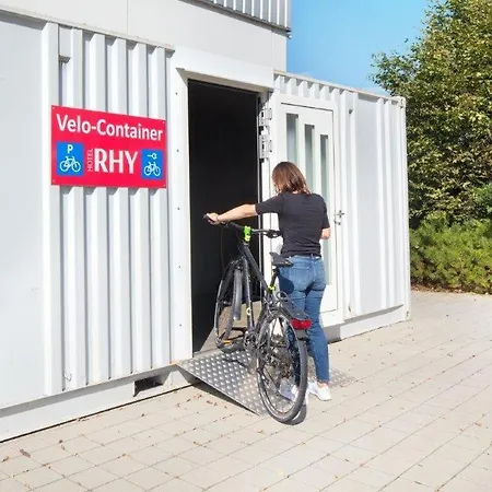 Rhy
